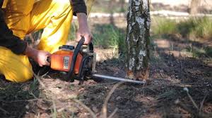Best Hazardous Tree Removal  in Wesley Hills, NY