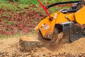 Best Soil Testing and Treatment  in Wesley Hills, NY