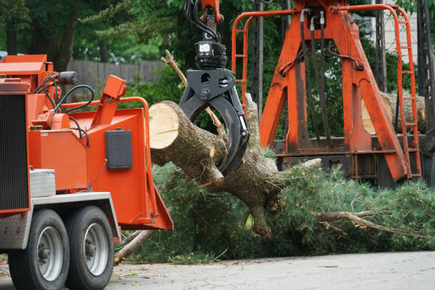 Best Lawn Pest Prevention  in Wesley Hills, NY